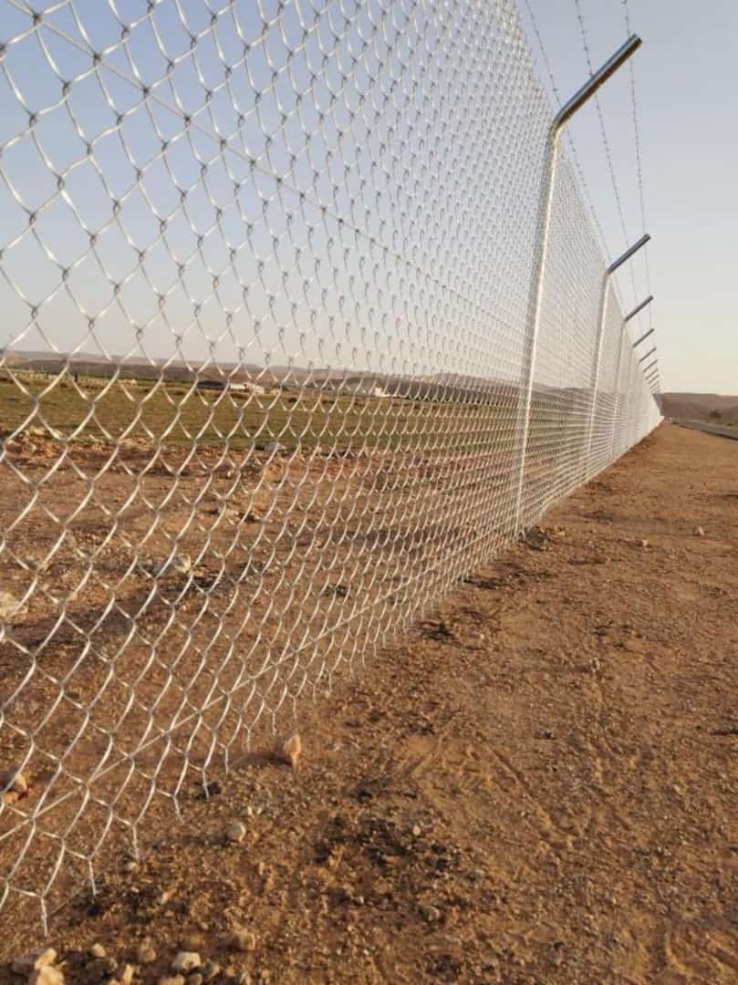 شبوك أغنام الرياض بأسعار تنافسية