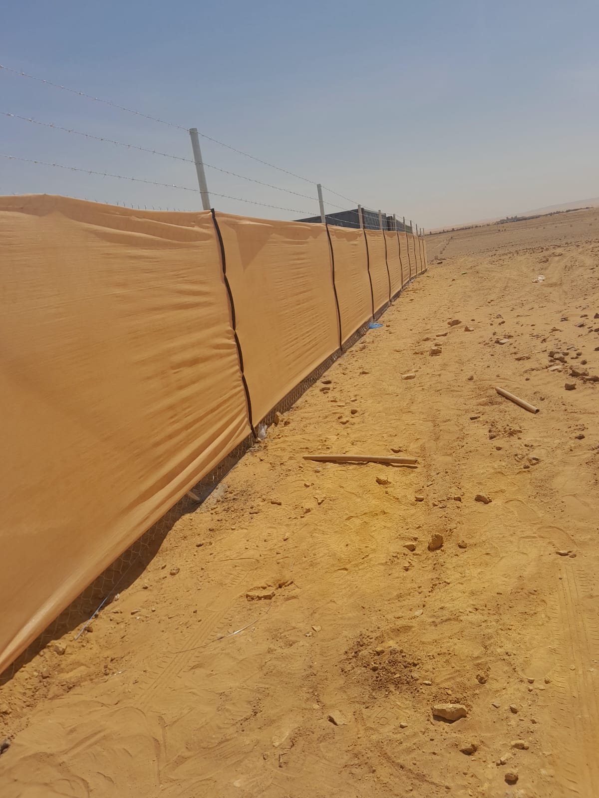 شبوك أغنام عالية الجودة في محايل عسير