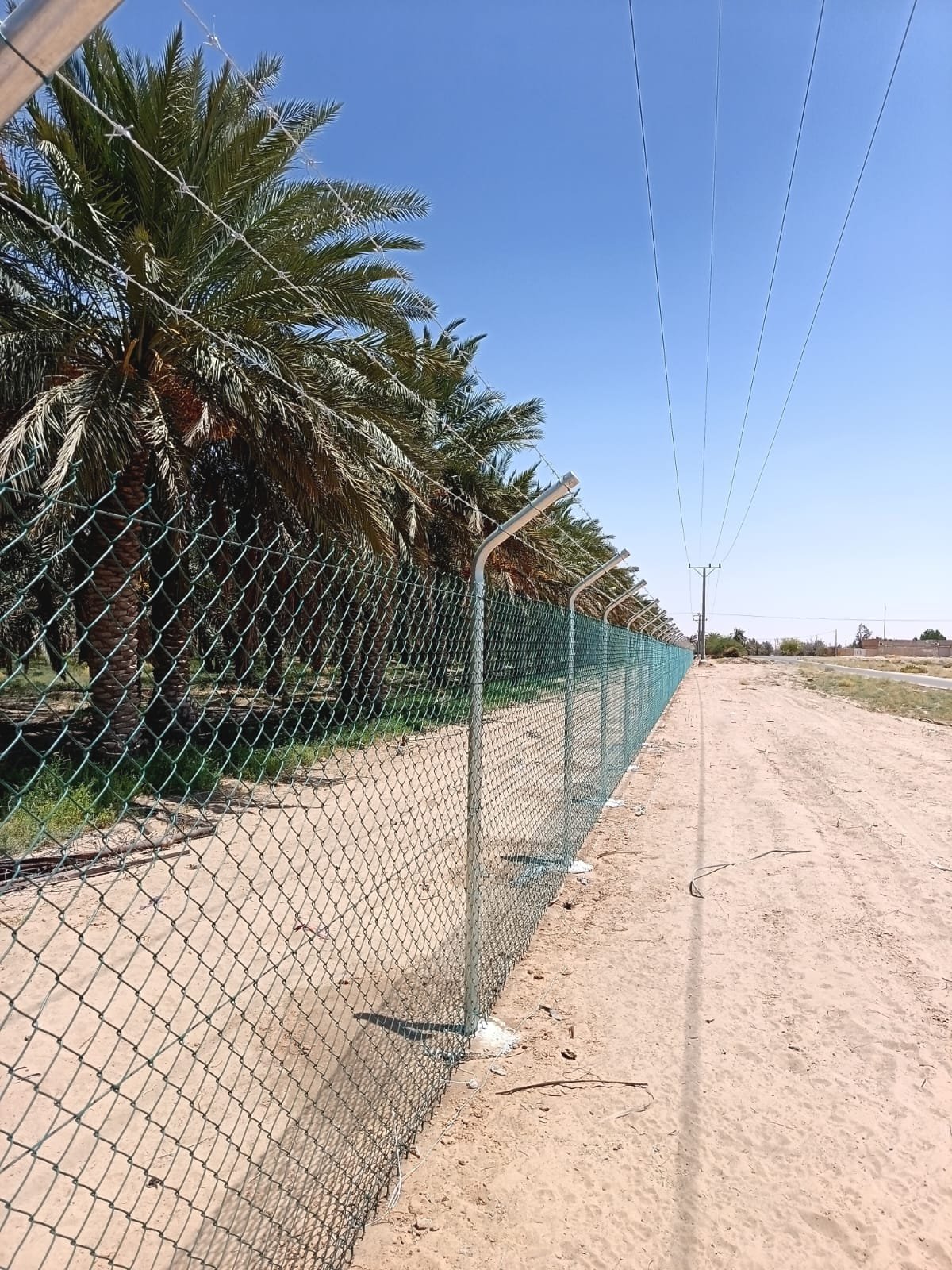 شبوك مزارع حديثة في جيزان